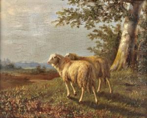 Ovelhas No Campo by Laurens Plas