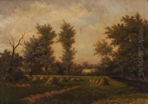 Paesaggio Di Campagna Concovoni Di Fieno