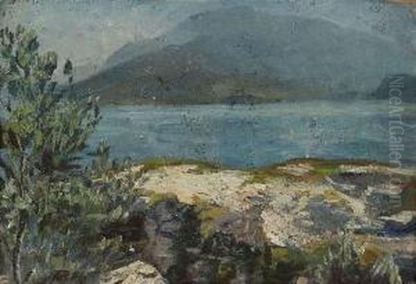 Lakeshore In Summer - view 1