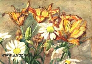 Daisies And Lilies Daisies And Lilies