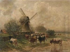 Niederrheinlandschaft Mit Vieh An Der Tranke