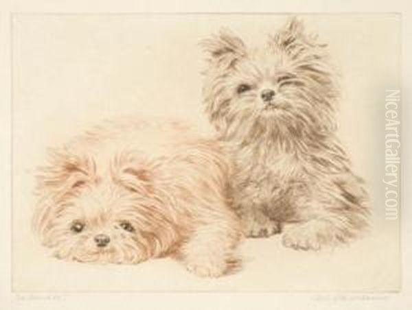 Dog Studies - view 1