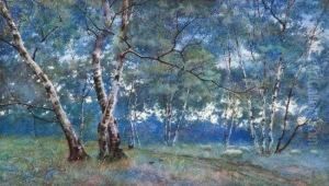 A Silver Birch Wood by Lexden Lewis Pocock