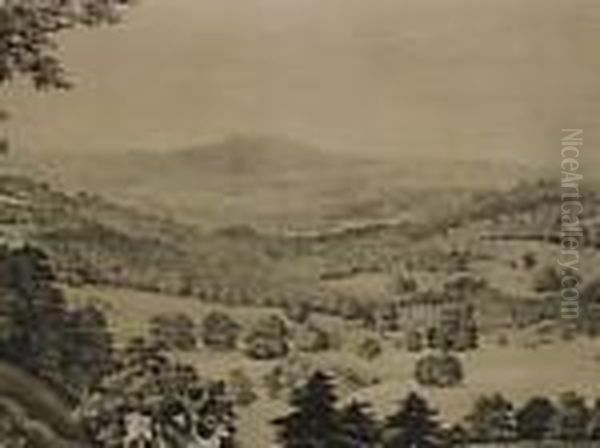Thelongleat Views - view 1