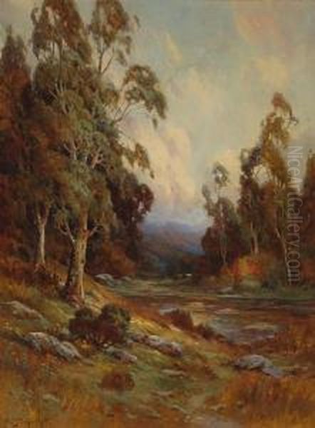 Stream Through Lush Autumnal Valley - view 1