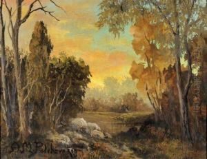 Clairiere Au Crepuscule