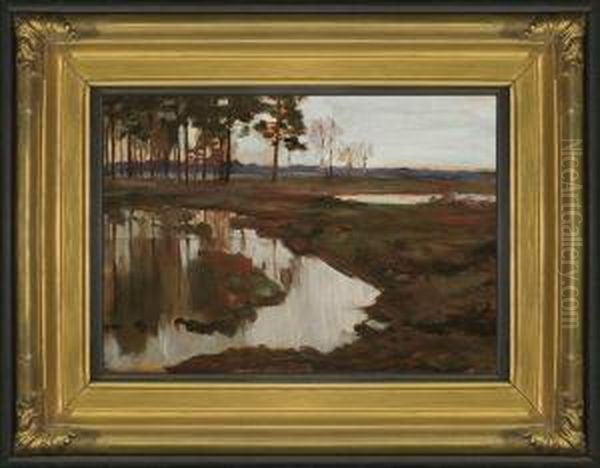 Landscape - view 1