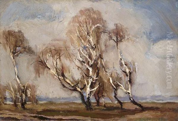 Tavaszi Nyirfak - view 1