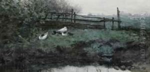 Ducks In The Grass by Geo Poggenbeek