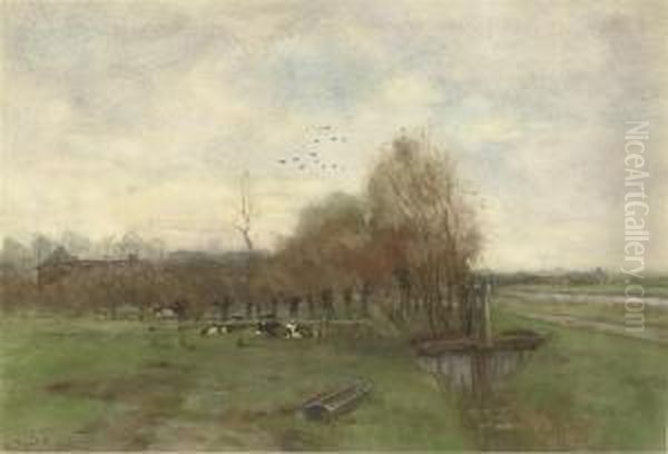 Automne: Resting Cows - view 1