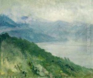 Tempo Grigio Sul Lago Di Como