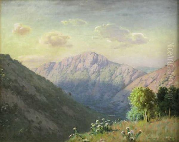 Magoebaskloof, Near Tzaneen, Northern Transvaal - view 1