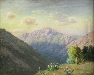 Magoebaskloof, Near Tzaneen, Northern Transvaal by Jack Pohl