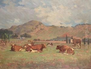 Cattle Resting On The Veldt Cattle Resting On The Veldt
