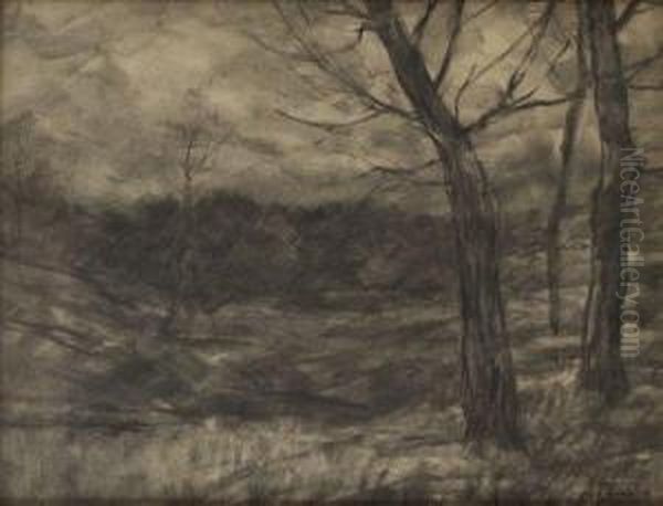 Paysage Aux Grands Arbres - view 1