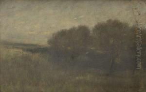 Un Soir Dans Les Saules by Auguste Pointelin