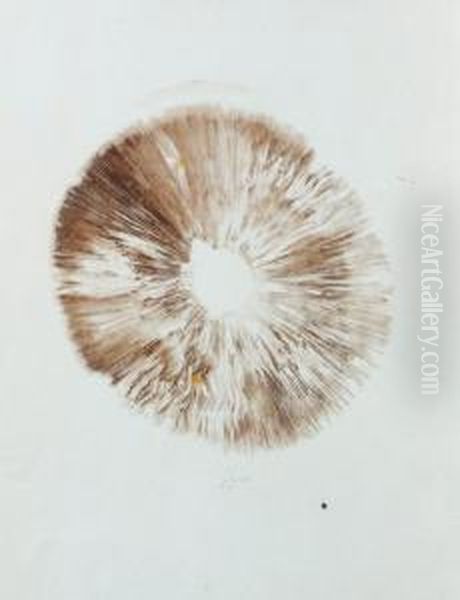Recherche Sur Les Champignons Agarics - view 1