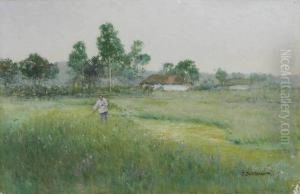 Toiling In The Field