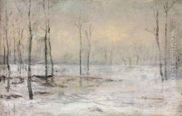 Clairiere Sous La Neige, Minsk, - view 1