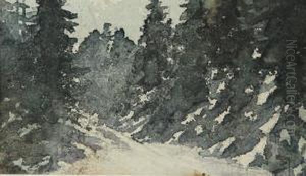Forest In Winter - view 1