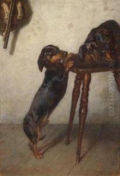 Two Basset Hounds/dachshunde - view 1