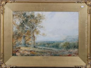 Clwyr Valley