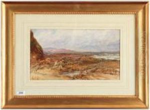 Coastal Scene
