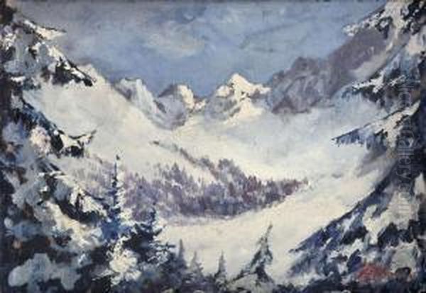 Zima V Tatrach - view 1