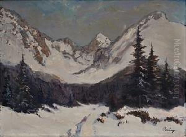 Zima V Tatrach - view 1