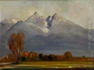 Pohlad Na Tatry
