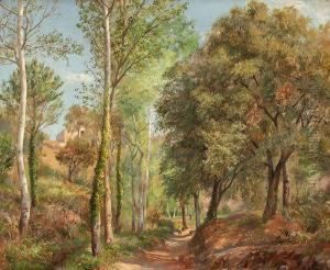Bosque by Jaume Pons Marti