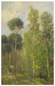 Paisaje De Bosque by Jaume Pons Marti