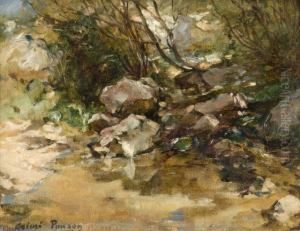 Source Sous Le Plan D'aups, Sainte Baume