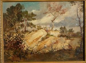 Paysage Paysage