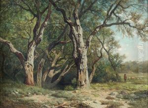 Chenes-lieges Pres D'hyeres by Antoine Ponthus-Cinier