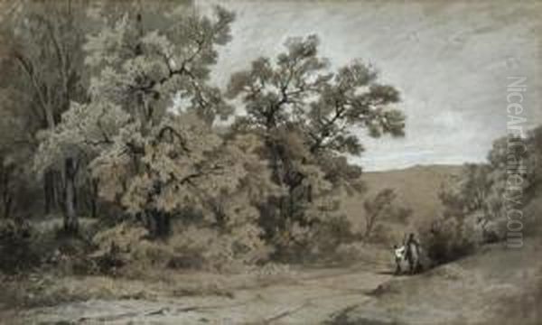 Paysage Anime - view 1