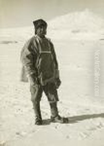 Terra Nova Expedition - view 1