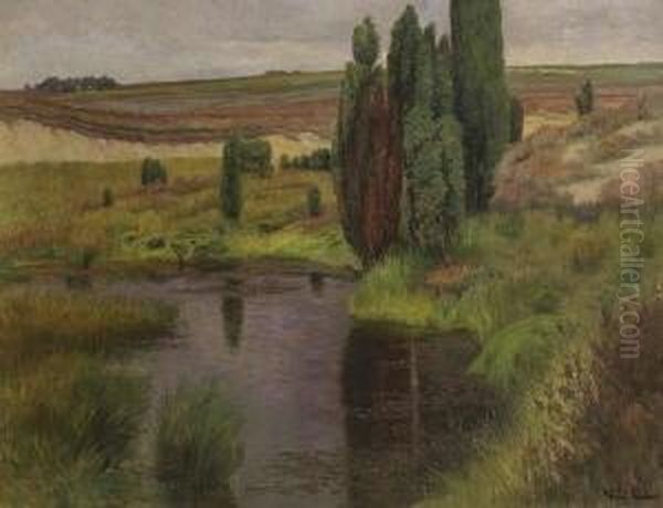 Moorlandschaft. - view 1