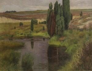 Moorlandschaft. by Fritz Pontini