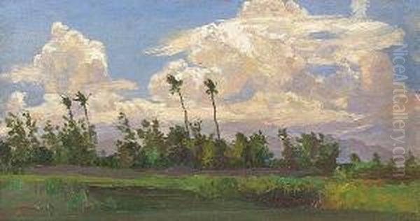 Hawaiian Landscape - view 1