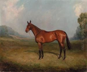 Insurance by Thomas Pooly Pooley