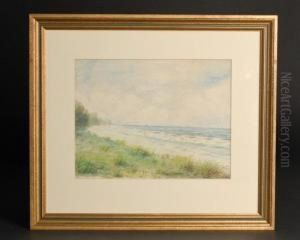 Seashore Grasses