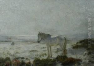 Sunrise Horse Onlong Island Sound by Henry Rankin Poore