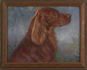 A Red Setter by Henry Rankin Poore