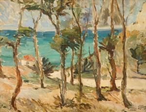 View Over The Bay by Iosif Pop