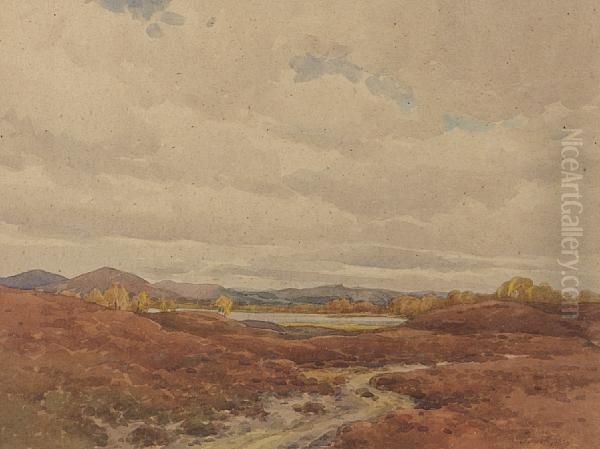 The Hills Of Assynt - view 1