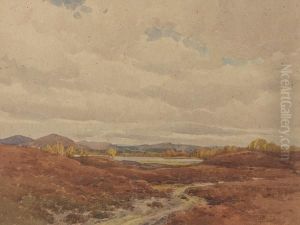 The Hills Of Assynt