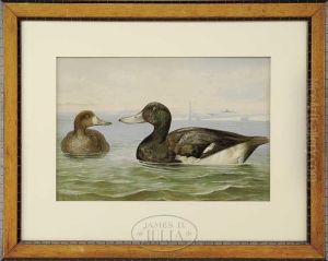 Duck by Alexander Pope