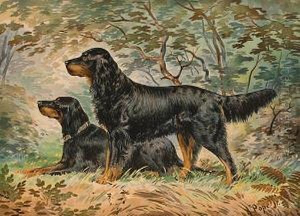 Gordon Setters; Pointer: Two - view 1