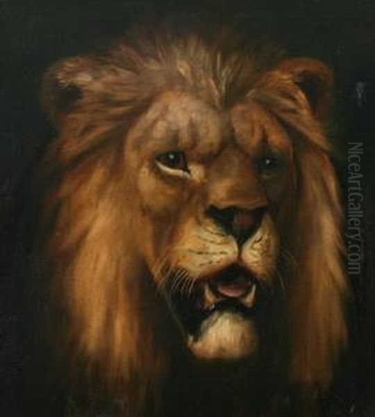 Lion's Head - view 1